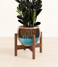 Load image into Gallery viewer, Calm Rose stand:walnut