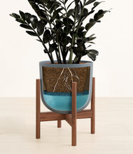Load image into Gallery viewer, Iron Gray stand:walnut