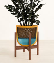 Load image into Gallery viewer, Sunset Orange stand:walnut