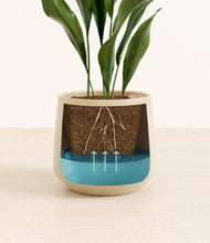 Load image into Gallery viewer, Almond Green