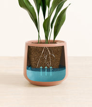 Load image into Gallery viewer, Calm Rose