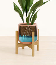 Load image into Gallery viewer, Calm Rose stand:bamboo