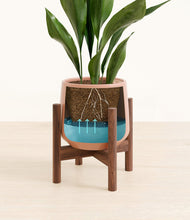 Load image into Gallery viewer, Calm Rose stand:walnut