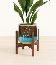 Load image into Gallery viewer, Turquoise stand:walnut