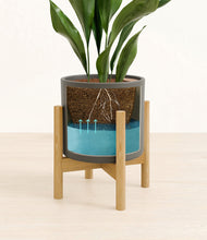 Load image into Gallery viewer, Dark Olive stand:bamboo