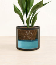 Load image into Gallery viewer, Black