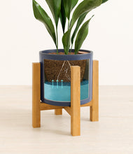 Load image into Gallery viewer, Deep Navy stand:light