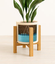 Load image into Gallery viewer, Cream stand:light