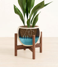 Load image into Gallery viewer, Shiny EggWhite stand:walnut