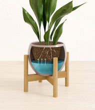 Load image into Gallery viewer, Winter Clouds stand:bamboo