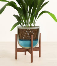 Load image into Gallery viewer, Sage Green stand:walnut