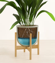 Load image into Gallery viewer, Sage Green stand:bamboo