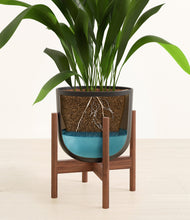 Load image into Gallery viewer, Stone Black stand:walnut