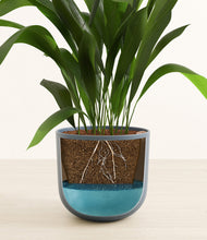 Load image into Gallery viewer, Iron Gray