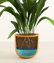 Load image into Gallery viewer, Sunset Orange