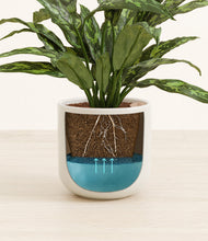 Load image into Gallery viewer, Cotton White