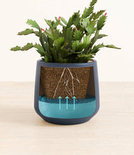 Load image into Gallery viewer, Deep Navy stand:all