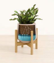 Load image into Gallery viewer, Eternal Gray stand:bamboo