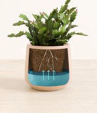 Load image into Gallery viewer, Gentle Pink stand:all