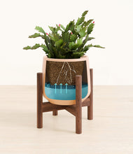 Load image into Gallery viewer, Gentle Pink stand:walnut