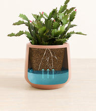 Load image into Gallery viewer, Calm Rose stand:all