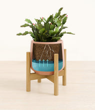 Load image into Gallery viewer, Calm Rose stand:bamboo