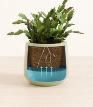 Load image into Gallery viewer, Turquoise stand:all