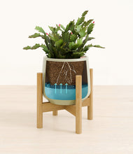 Load image into Gallery viewer, Turquoise stand:bamboo