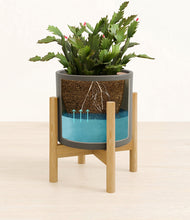 Load image into Gallery viewer, Dark Olive stand:bamboo