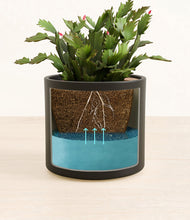 Load image into Gallery viewer, Black