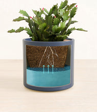 Load image into Gallery viewer, Deep Navy