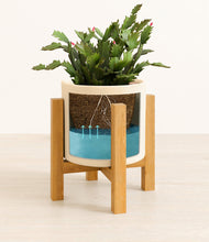 Load image into Gallery viewer, -