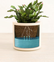 Load image into Gallery viewer, Cream