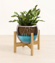 Load image into Gallery viewer, Winter Clouds stand:bamboo