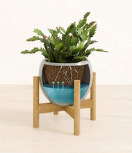 Load image into Gallery viewer, Deep Ocean stand:bamboo