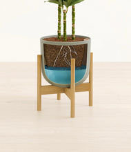 Load image into Gallery viewer, Sage Green stand:bamboo