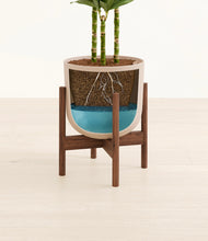 Load image into Gallery viewer, Sandy Pink stand:walnut