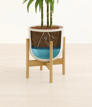 Load image into Gallery viewer, Natural Bamboo stand:bamboo
