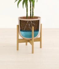 Load image into Gallery viewer, Sandy Pink stand:bamboo