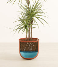 Load image into Gallery viewer, Earth Red stand:all