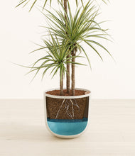 Load image into Gallery viewer, Natural Bamboo stand:all