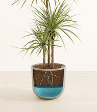 Load image into Gallery viewer, Sage Green stand:all