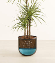 Load image into Gallery viewer, Stone Black stand:all