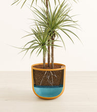 Load image into Gallery viewer, Sunset Orange stand:all