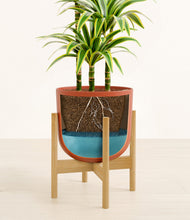 Load image into Gallery viewer, Earth Red stand:bamboo