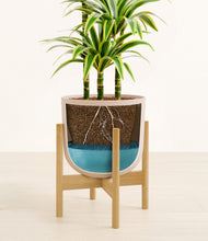 Load image into Gallery viewer, Sandy Pink stand:bamboo
