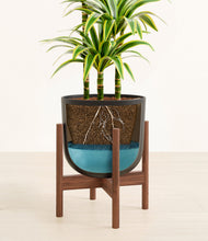 Load image into Gallery viewer, Stone Black stand:walnut