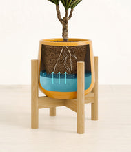 Charger l'image dans la galerie, Mustard stand:light