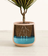 Charger l'image dans la galerie, Gentle Pink