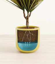Charger l'image dans la galerie, Key Lime Yellow